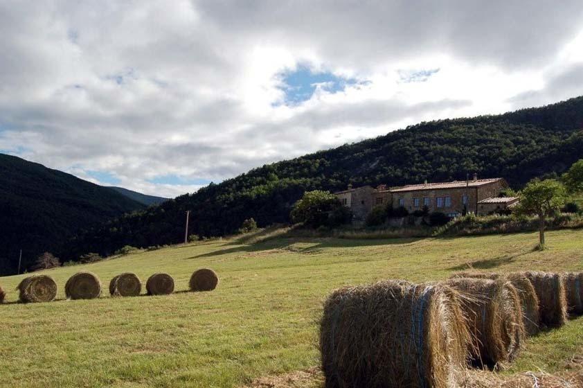 La Ferme De La Condamine Acomodação com café da manhã Saint-André-de-Rosans Exterior foto