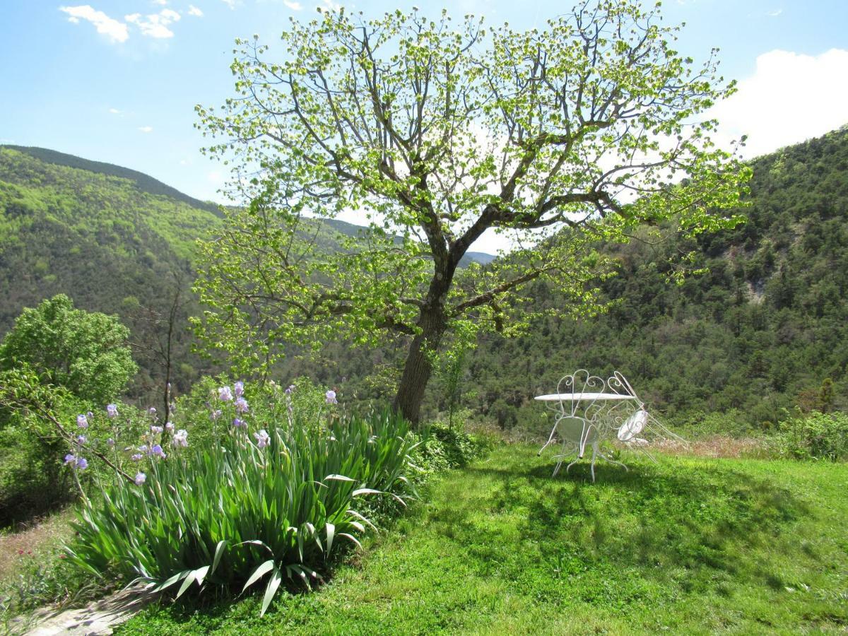 La Ferme De La Condamine Acomodação com café da manhã Saint-André-de-Rosans Exterior foto